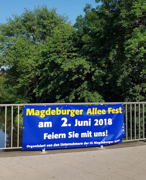 Alleefest 2018 - Das 25. Alleefest