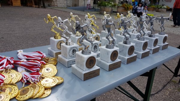 13. Alleelauf - Ergebnisse 2019 13. Alleelauf - Ergebnisse 2019